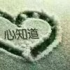 谁与争峰的头像