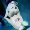 爱听音乐的人的头像