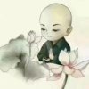 草根姜的头像