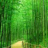 坚持执着的头像