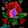 月下相思为了谁的头像