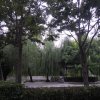 宁静致远的头像
