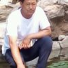 鲅鱼的头像