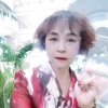 老野猫的头像