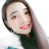 南飞燕的头像
