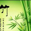 竹子的头像