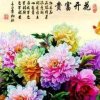 春暖花开的头像