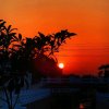 炫麗的夕陽的头像