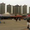会笑的鱼的头像