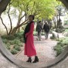 似兰斯馨的头像