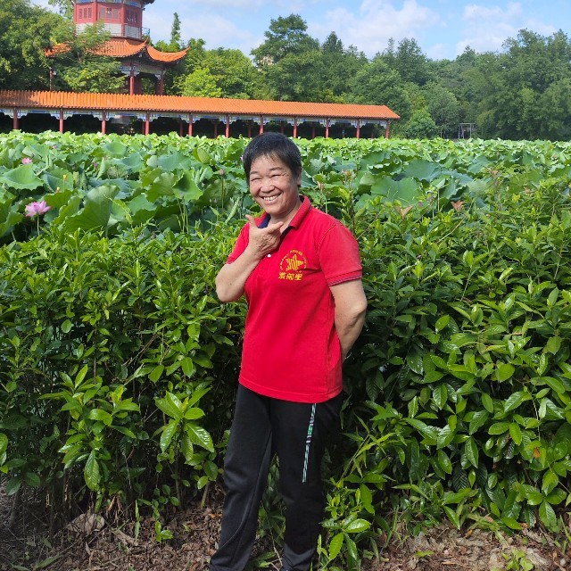 等风等雨我等你(热度:20)由永春翻唱，原唱歌手花树