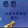 皇朝扶着往事走金牌唱将】的头像