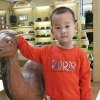 尔康的头像
