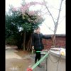 平凡的生活的头像