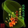 开心果的头像