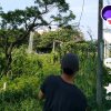 风•声的头像