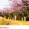 。。。。。。的头像