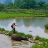 雾里看花的头像