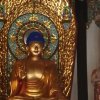 守护不变的头像