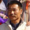 彪行天下的头像