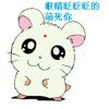 情義飓风的头像