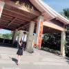 L Y的头像