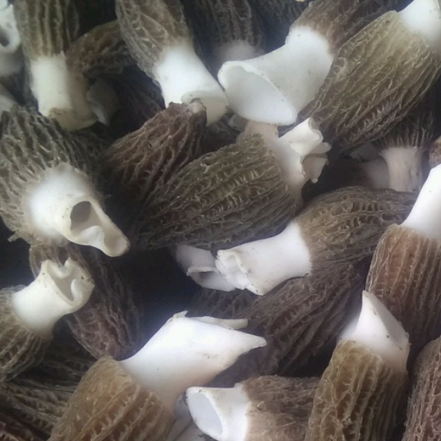 今生的唯一(原唱歌手安东阳/东方红艳)，歌星在线演唱2217分