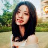 暖的头像