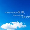 荔枝蜜的头像