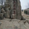 丰子姐的头像