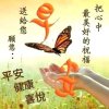平安幸福｛陶｝的头像