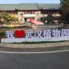 进哥的头像
