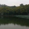 平安的头像