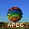 期盼APEC蓝天的头像
