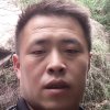 龙润菩提缘的头像