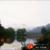 空谷…无为的头像