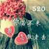 阳光总在风雨后//的头像