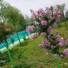 【任性】的头像