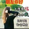 仙人掌的头像