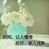 海边看日出的头像