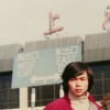 胡杨的头像
