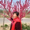 三个儿子的妈的头像