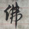 阳光的头像