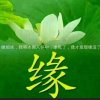 真诚的头像