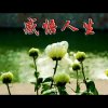 昨夜星辰昨夜风的头像