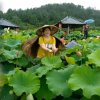嫁嫁婆桂花香（拒十微信的头像