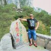 随风的头像