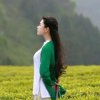 你照亮了我的世界的头像