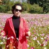 花儿的头像