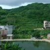  封心锁爱 的头像